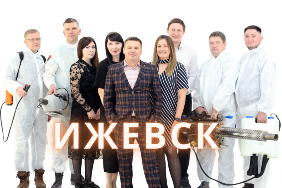 Команда компании СЭС24